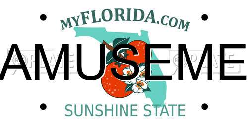 AMUSEME Florida License Plate