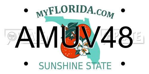 AMUV48 Florida License Plate