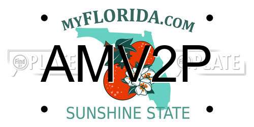 AMV2P Florida License Plate