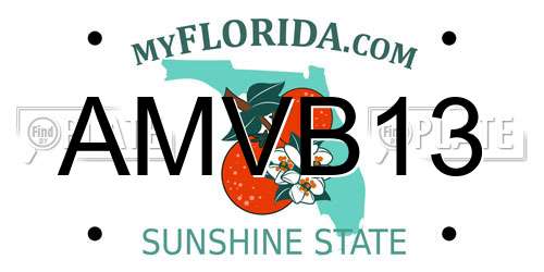 AMVB13 Florida License Plate