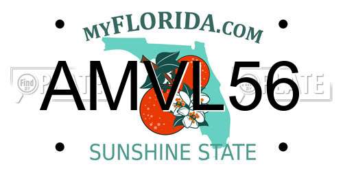 AMVL56 Florida License Plate