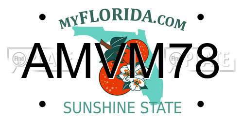 AMVM78 Florida License Plate