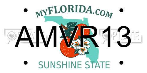 AMVR13 Florida License Plate
