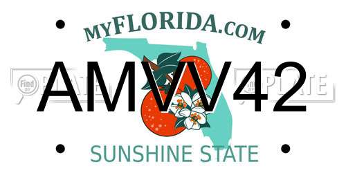 AMVV42 Florida License Plate