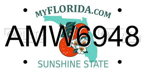 AMW6948 Florida License Plate