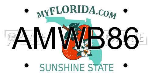 AMWB86 Florida License Plate