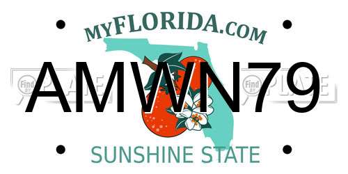 AMWN79 Florida License Plate
