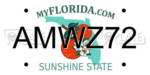 AMWZ72 Florida License Plate