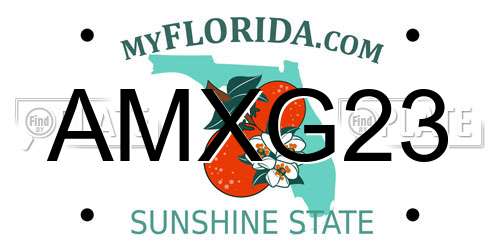 AMXG23 Florida License Plate