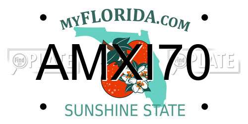 AMXI70 Florida License Plate