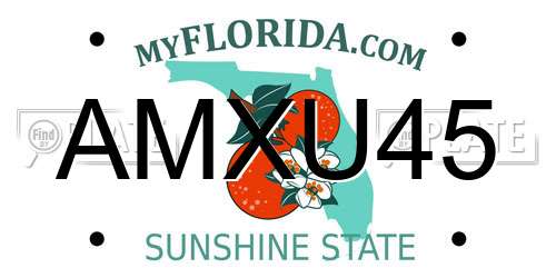 AMXU45 Florida License Plate