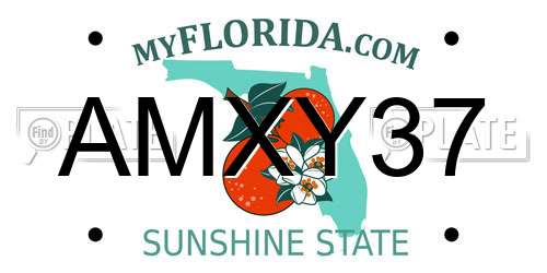 AMXY37 Florida License Plate