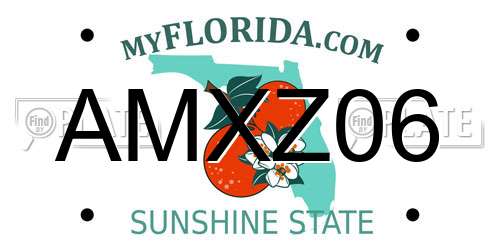 AMXZ06 Florida License Plate
