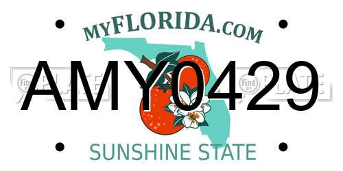 AMY0429 Florida License Plate