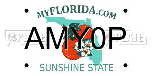 AMY0P Florida License Plate