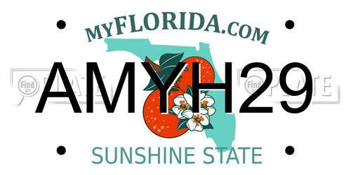 AMYH29 Florida License Plate