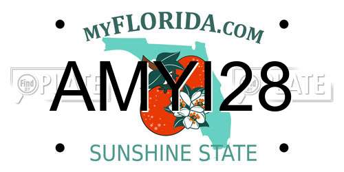 AMYI28 Florida License Plate