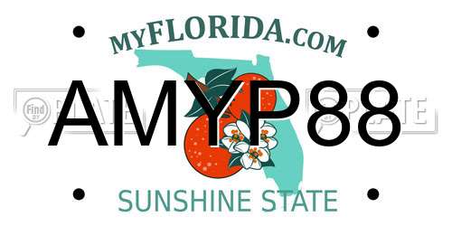 AMYP88 Florida License Plate