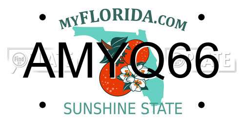 AMYQ66 Florida License Plate