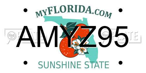 AMYZ95 Florida License Plate