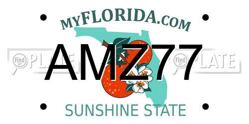 AMZ77 Florida License Plate