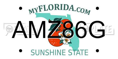 AMZ86G Florida License Plate