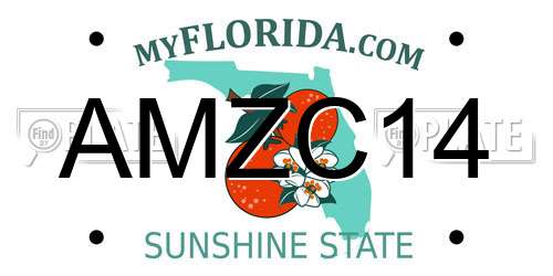 AMZC14 Florida License Plate