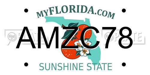 AMZC78 Florida License Plate