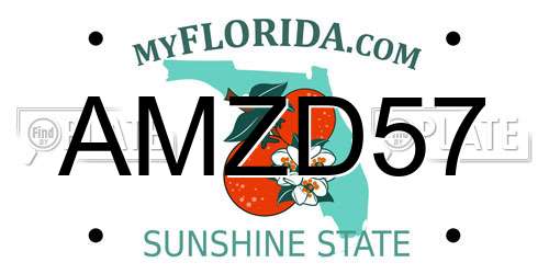 AMZD57 Florida License Plate