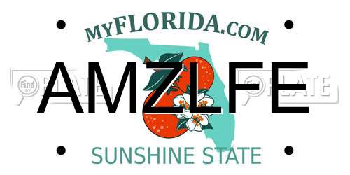 AMZLFE Florida License Plate