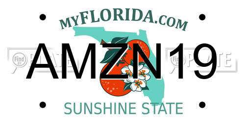 AMZN19 Florida License Plate