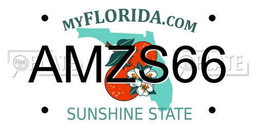 AMZS66 Florida License Plate
