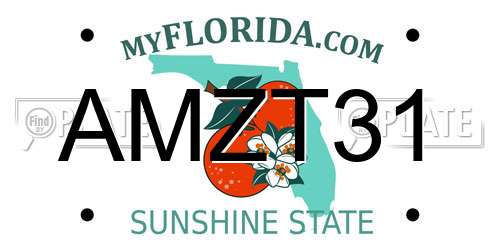 AMZT31 Florida License Plate
