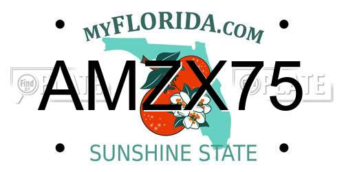 AMZX75 Florida License Plate
