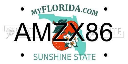 AMZX86 Florida License Plate