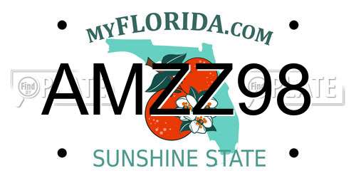 AMZZ98 Florida License Plate