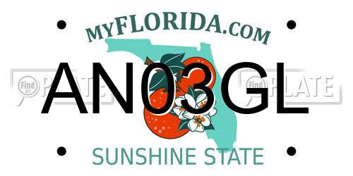 AN03GL Florida License Plate