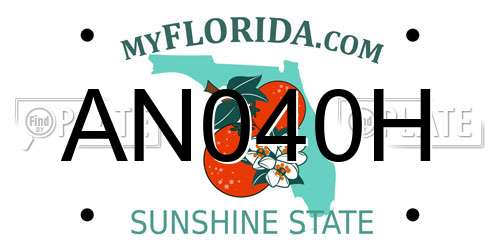 AN040H Florida License Plate