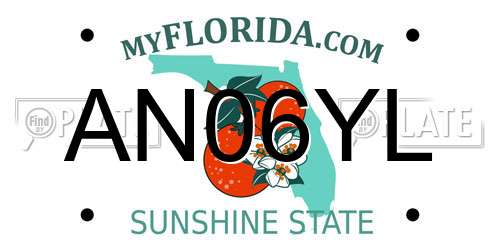 AN06YL Florida License Plate