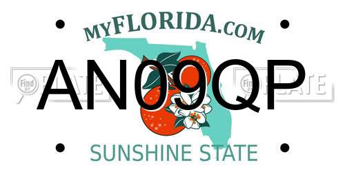 AN09QP Florida License Plate