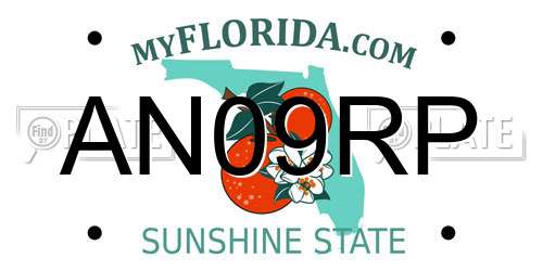 AN09RP Florida License Plate