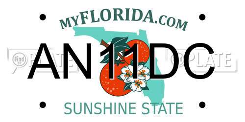 AN11DC Florida License Plate
