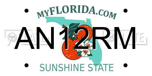 AN12RM Florida License Plate