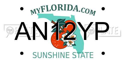 AN12YP Florida License Plate