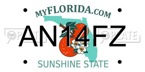 AN14FZ Florida License Plate