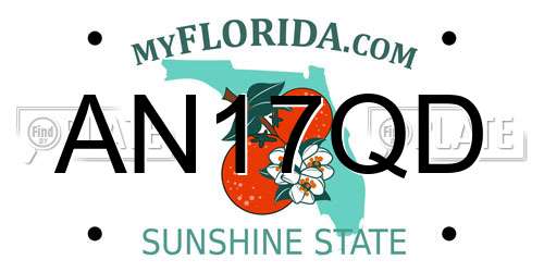 AN17QD Florida License Plate