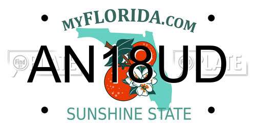 AN18UD Florida License Plate