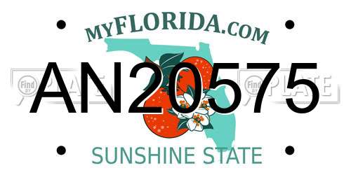 AN20575 Florida License Plate