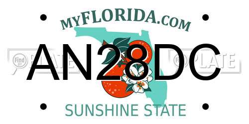 AN28DC Florida License Plate