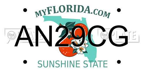 AN29CG Florida License Plate